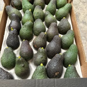 Verpakking Hass-avocado - 30 stuks