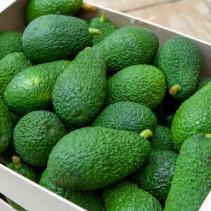 Verpakking Hass Avocado - 100 stuks