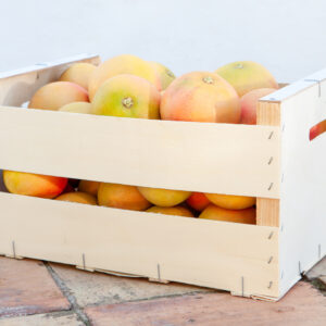 Grapefruit - Verpakking van 20 kg