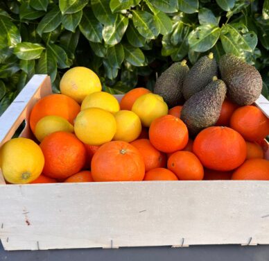 Gemengd fruitpakket 4 - Sinaasappels, mandarijnen, citroenen en avocado's
