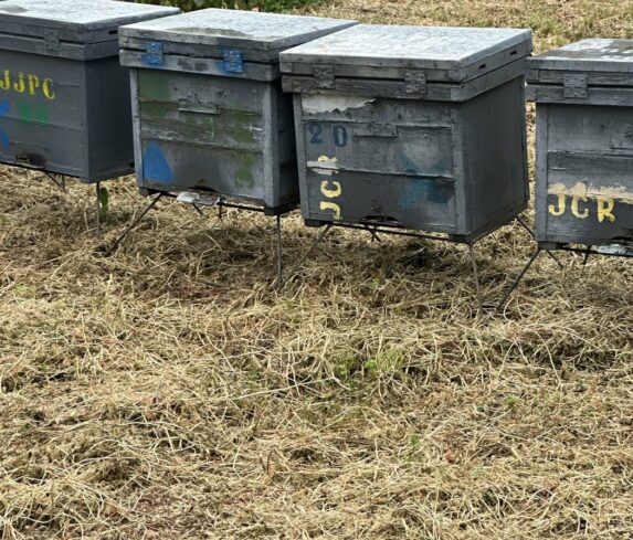 Beehives at Transformador